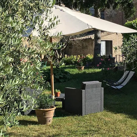 Anfihouse And * Assisi